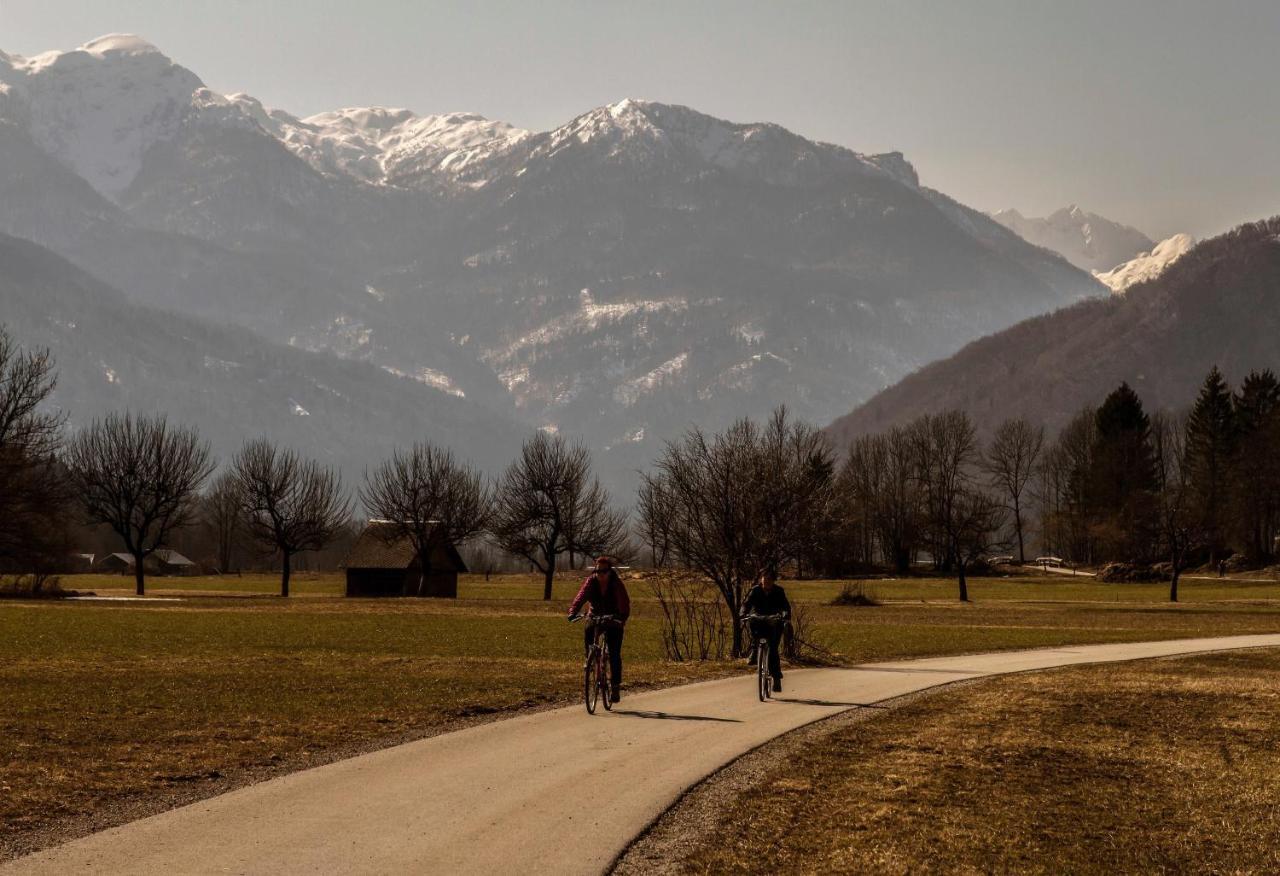 Apartmaji Alpski Cvet - Hisa Gorenc Bohinj Exterior foto
